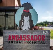 Ambassador Animal Hospital Logo